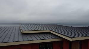 Best Sheet Metal Roofing  in Oxford, KS